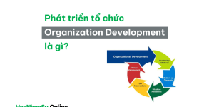 Cơ cấu tổ chức phẳng (Flat Organization Structure), hướng dẫn chi tiết