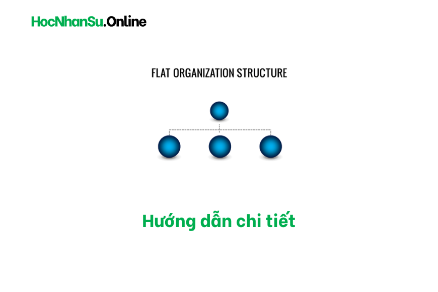 Cơ cấu tổ chức phẳng (Flat Organization Structure), hướng dẫn chi tiết