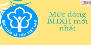 Lý do chấm dứt HĐLĐ, mấy HR biết được lý do này