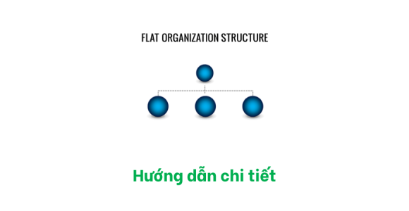 Cơ cấu tổ chức phẳng (Flat Organization Structure), hướng dẫn chi tiết